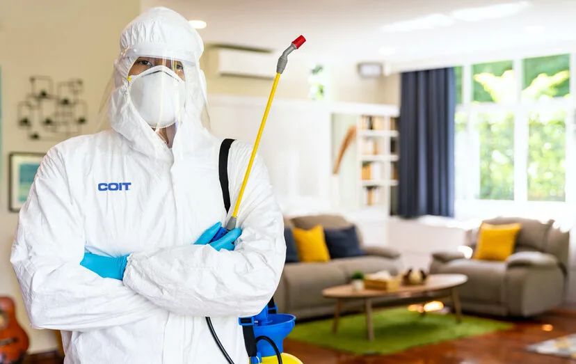 Dinar hamam böceği ilaçlama Afyonkarahisar